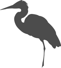 ecology-illus(2)